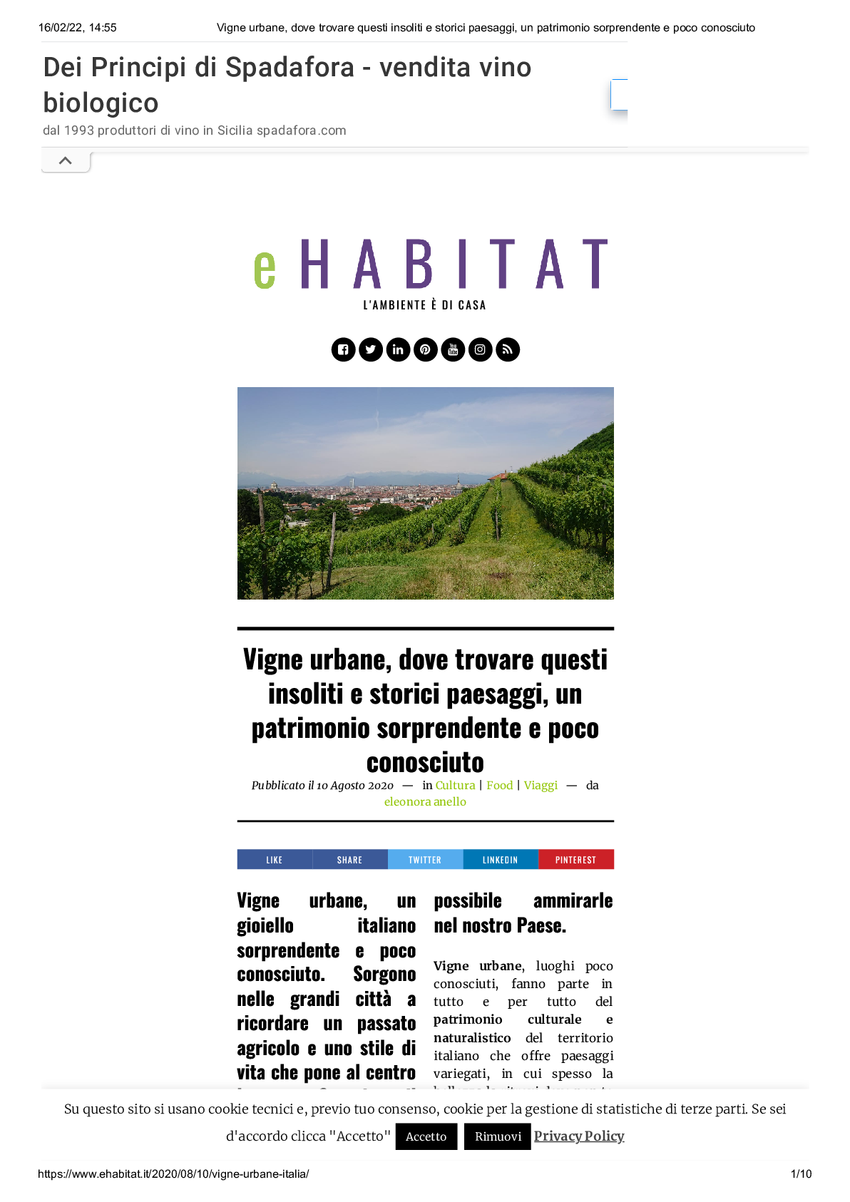 eHabitat - Vigne urbane, dove trovare questi insoliti e storici paesaggi, un patrimonio sorprendente e poco conosciuto